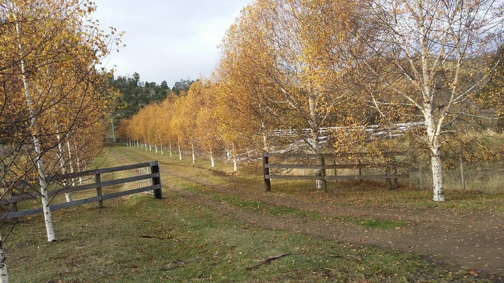 Scout Hall National Park Exteriör bild